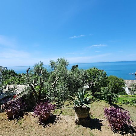 Apartment Ulcinj Bagian luar foto