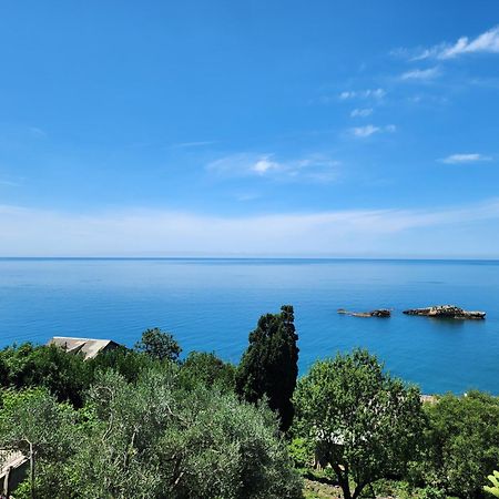 Apartment Ulcinj Bagian luar foto