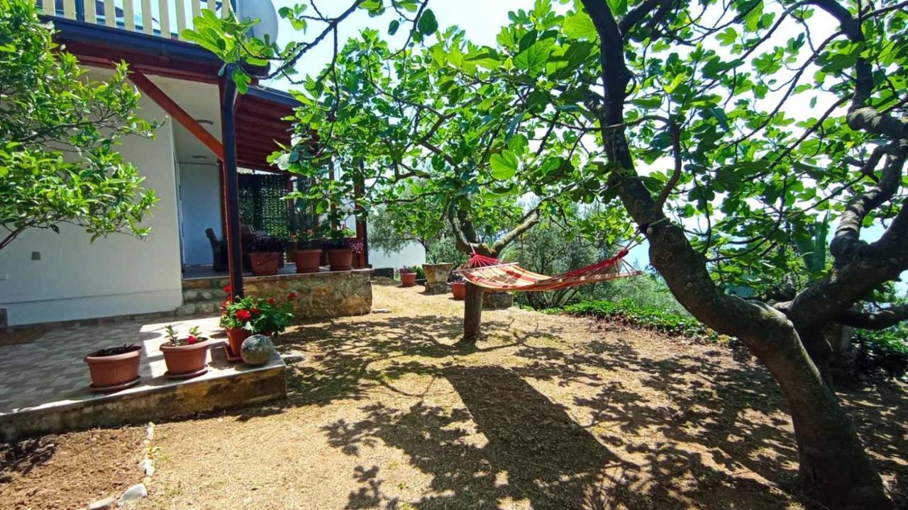 Apartment Ulcinj Bagian luar foto