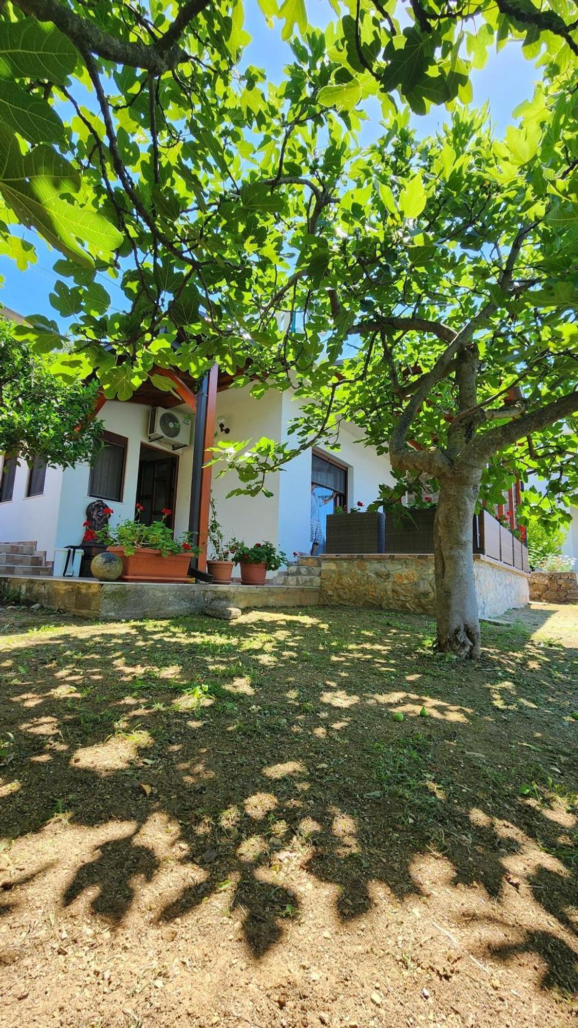 Apartment Ulcinj Bagian luar foto