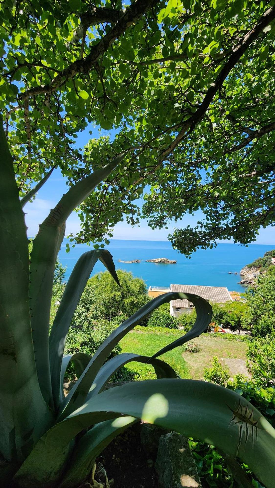 Apartment Ulcinj Bagian luar foto