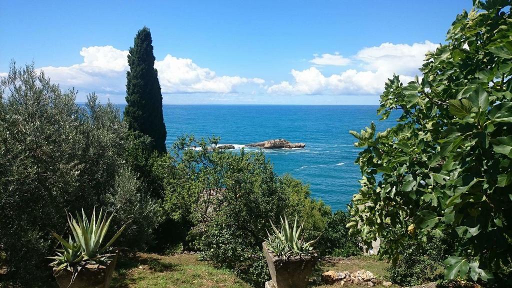 Apartment Ulcinj Bagian luar foto